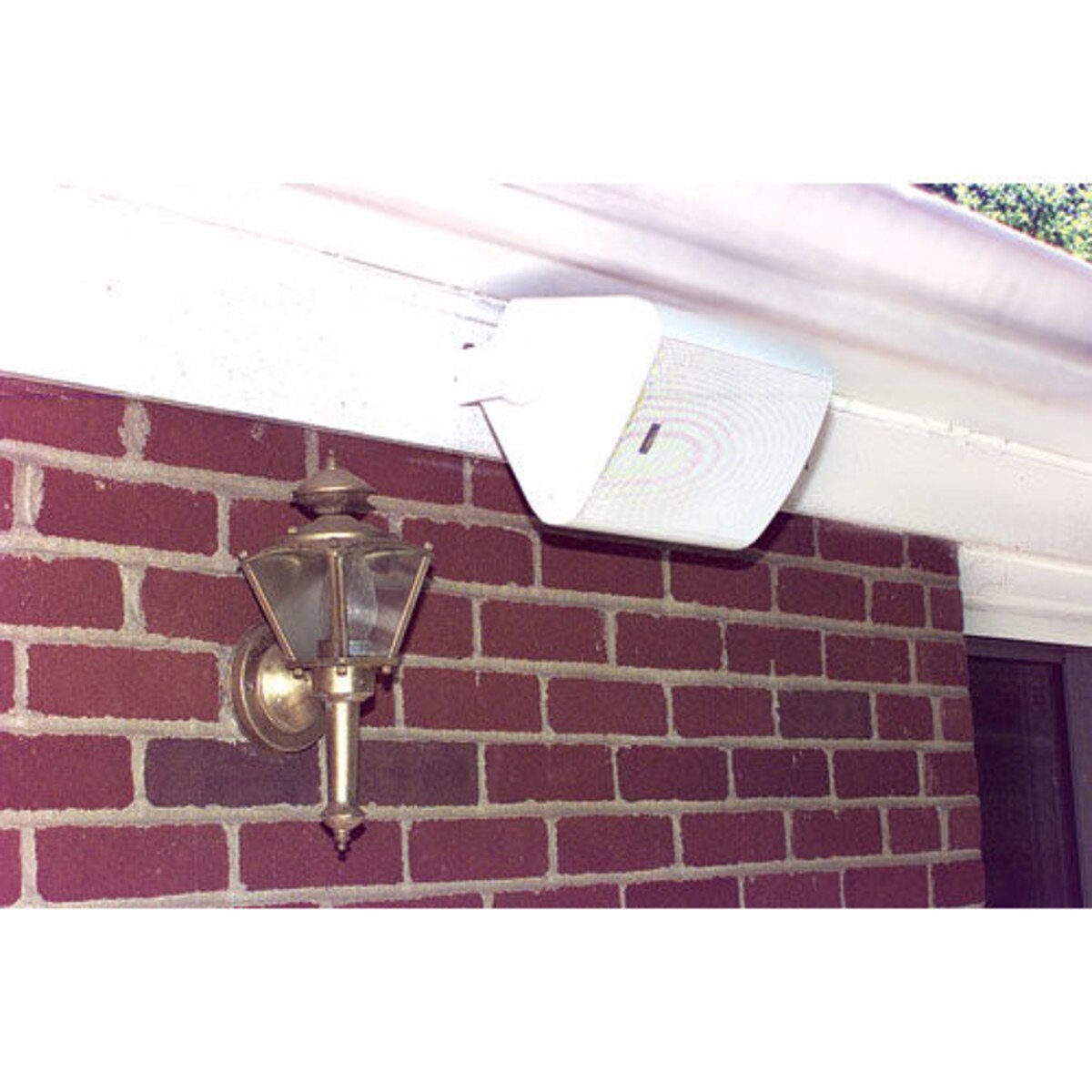 TIC ASP60 51/4" Outdoor Speaker Pair White